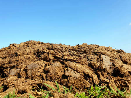 Dung of animals lies on ground.Blue sky and little grass seems in frame.の写真素材