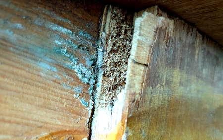 Wood hubs. Wood cracks seems on wooden ply a close view.