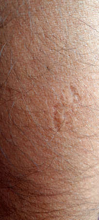 Body parts of human being. Legs hands and foots of person .の写真素材