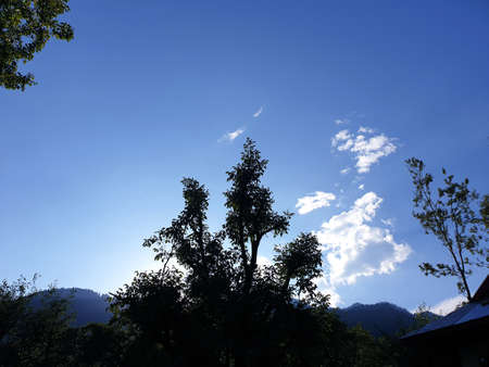 View of cloudy blue sky beautiful villages and rice fields of villagers in Indian states. Green and yellow golden colour crops in India are best destination for travellers.の写真素材