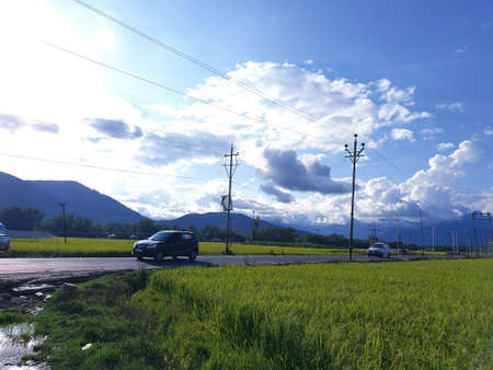 View of cloudy blue sky beautiful villages and rice fields of villagers in Indian states. Green and yellow golden colour crops in India are best destination for travellers.の写真素材