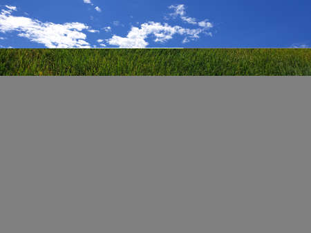 View of cloudy blue sky beautiful villages and rice fields of villagers in Indian states. Green and yellow golden colour crops in India are best destination for travellers.の写真素材
