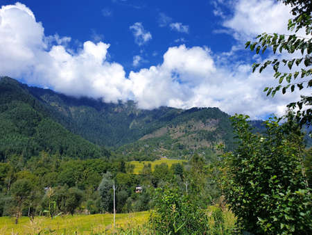 View of cloudy blue sky beautiful villages and rice fields of villagers in Indian states. Green and yellow golden colour crops in India are best destination for travellers.の写真素材