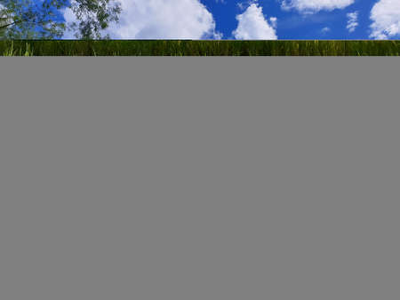 View of cloudy blue sky beautiful villages and rice fields of villagers in Indian states. Green and...