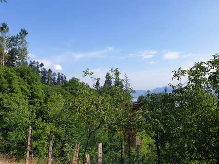 View of cloudy blue sky beautiful villages and rice fields of villagers in Indian states. Green and yellow golden colour crops in India are best destination for travellers.の写真素材