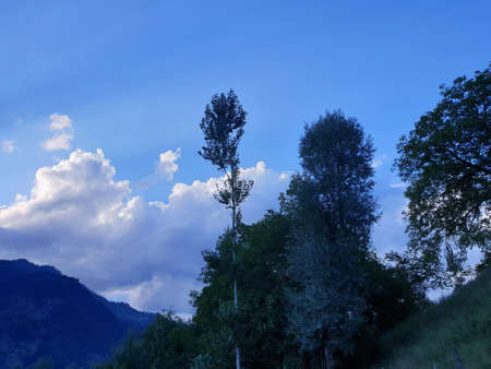 View of cloudy blue sky beautiful villages and rice fields of villagers in Indian states. Green and yellow golden colour crops in India are best destination for travellers.の写真素材