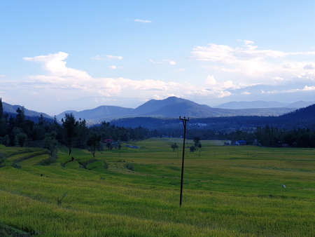 View of cloudy blue sky beautiful villages and rice fields of villagers in Indian states. Green and yellow golden colour crops in India are best destination for travellers.の写真素材