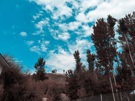 Cloudy blue sky over autumn field golden cyan and magenta. The beauty of landscape nature huge...