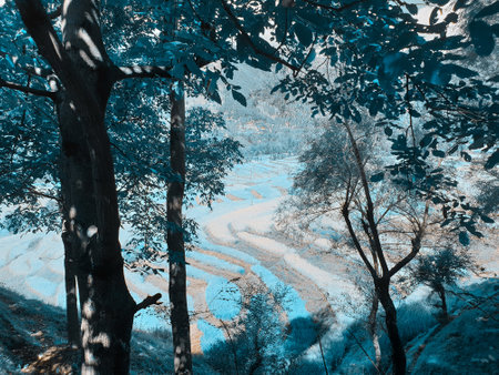 The beauty of landscape nature huge beautiful hills and long green trees around the crop field in magenta and cyan colors.の写真素材