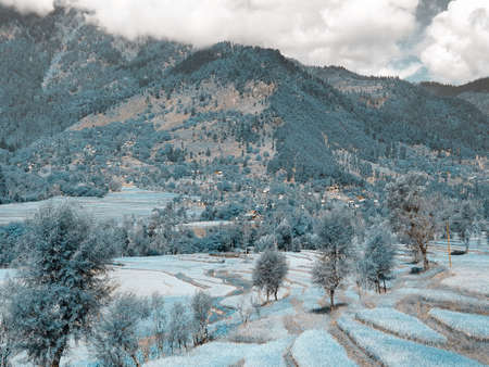 The beauty of landscape nature huge beautiful hills and long green trees around the crop field in...