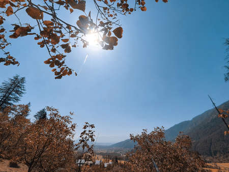 The beauty of landscape nature huge beautiful hills and long green trees around the crop field in magenta and cyan colors.の写真素材