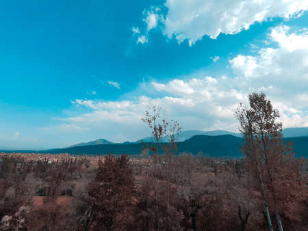 Cloudy blue sky over paddy field golden yellow and green. The beauty of landscape nature huge...