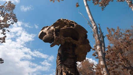 Home made cotton cloth mask making with local machines during coronavirusの写真素材