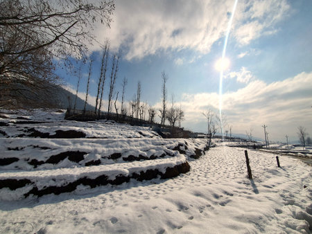 Snow White in kashmir covered hills mountains plants valley. Snow fall in Jammu and Kashmir is common from December to February, snowing attracts tourists and winter games are also played on snow.の写真素材