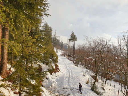 Man walks on snow in kashmir covered hills mountains plants valley. Snow fall in Kashmir is common...
