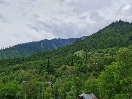 Kashmir beauty green hills forests in mountains. summer landscape with green grass on the hills....