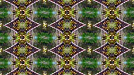 Photographs kaleidoscope ethnic geometry pattern illustration ornament vintage.