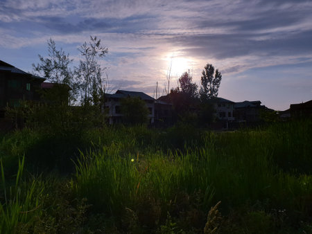 View of cloudy blue sky beautiful villages and rice fields of villagers in Indian states. Green and yellow golden colour crops in India are best destination for travellers.の写真素材
