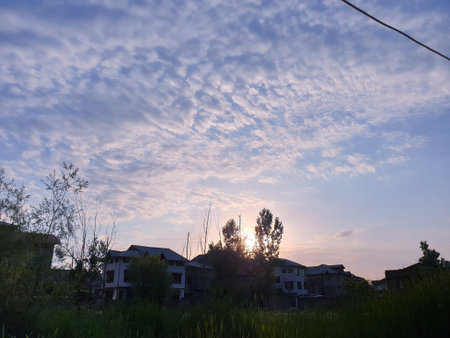 View of cloudy blue sky beautiful villages and rice fields of villagers in Indian states. Green and yellow golden colour crops in India are best destination for travellers.の写真素材