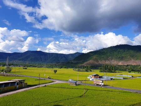 View of cloudy blue sky beautiful villages and rice fields of villagers in Indian states. Green and yellow golden colour crops in India are best destination for travellers.の写真素材