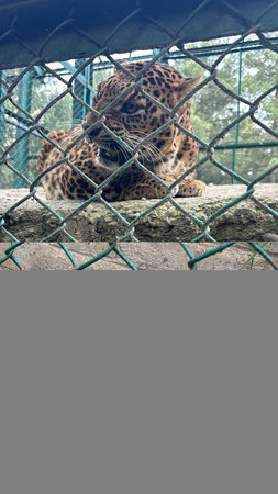 Modern Building Interior with Advanced Technology, Gaming Equipment, and Transport Hardwareの写真素材