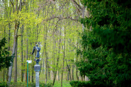 Angel Sculpture in the green park. Summer dayの写真素材
