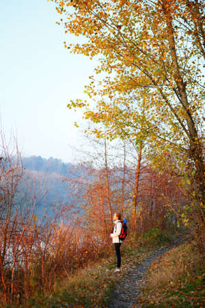 Woman hiker on the path in woods. Walking in the weekend. Autumnの写真素材