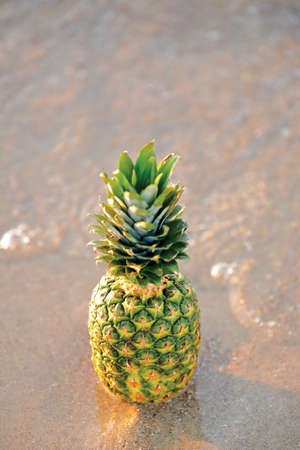 Pineapple on the beach. Summer vacations conceptの写真素材