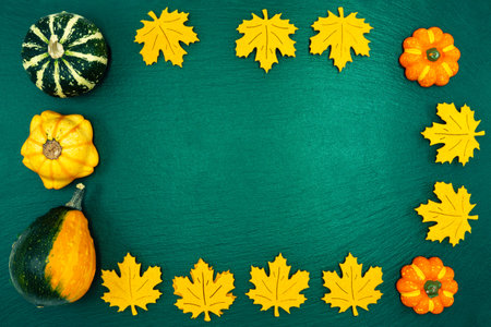 Decorative pumpkins on a green background. The fall harvest is ready for Halloween.の写真素材