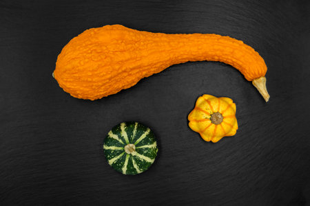 Decorative pumpkins on a black background. The fall harvest is ready for Halloween.の写真素材