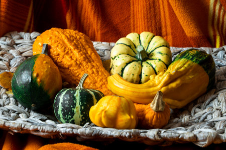 Autumn still life with pumpkins and leaves. Autumn home decor. Cozy autumn mood. Thanksgiving Day. Halloween.の写真素材