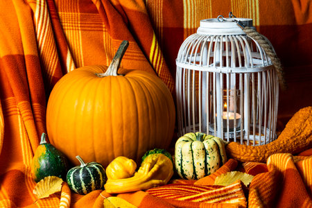 Halloween home mood. Orange pumpkin and vintage birdcage with a candle inside. Autumn home decoration.の写真素材