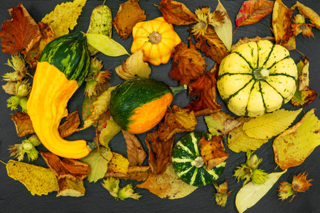 Autumn still life with pumpkins and leaves. Autumn home decor. Cozy autumn mood. Thanksgiving Day....