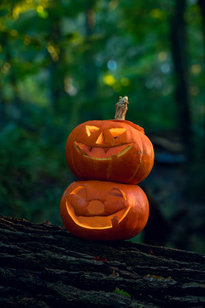 Halloween design with pumpkins. DIY Halloween pumpkins on a natural background.の写真素材