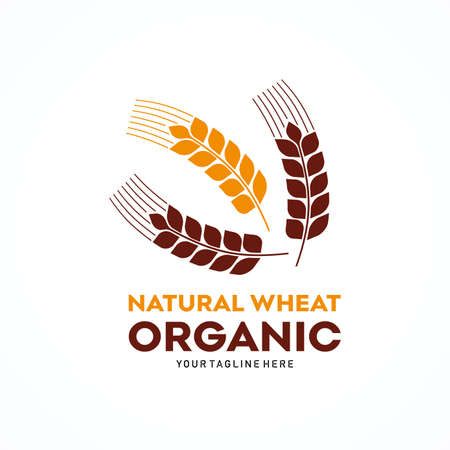 Organic Grain Logo Template Design Vectorのイラスト素材