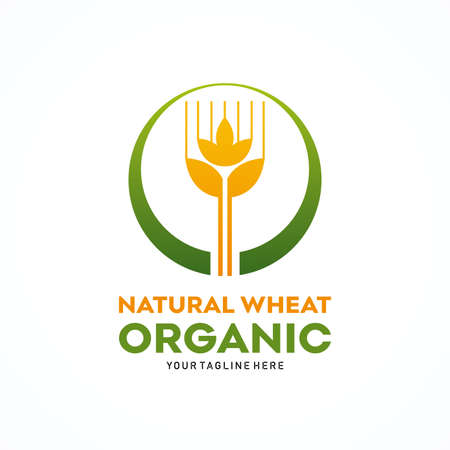 Natural Wheat Organic Logo Template Design Vectorのイラスト素材