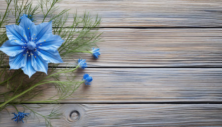 Blue cornflowers on a wooden background. Top view with copy space.の素材