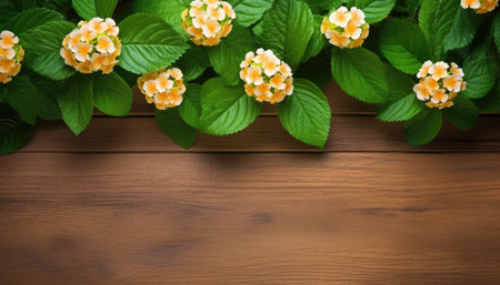Lantana camara flowers on wooden background with copy space.の素材