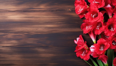 Beautiful gladiolus flowers on wooden background. Space for textの素材