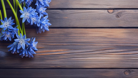 Blue flowers on a wooden background. Top view with copy space.の素材