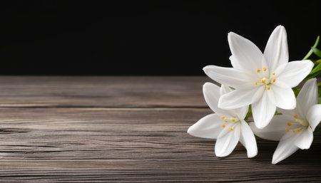 Beautiful white crocus flowers on wooden table, space for textの素材