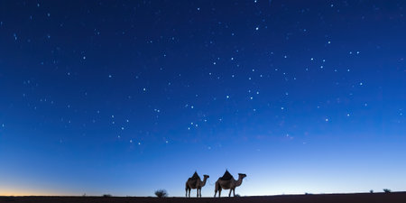 Two camels silhouetted against a starry sky at duskの素材