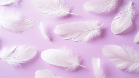 White feathers on a pastel purple background. Concept of lightness, softness and purity.の素材