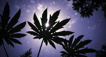 Large tropical plant leaves in silhouette against a vibrant purple and blue sky with a bright sunburst. low angle view capturing natural light and exotic foliage.の素材