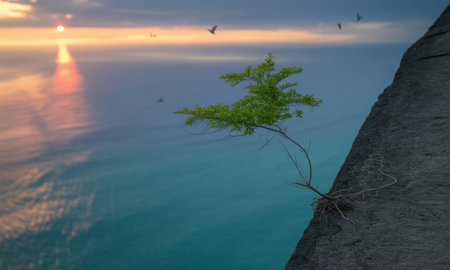 Vibrant green sapling with exposed roots clinging to a steep, rugged cliff face, overlooking a calm ocean with a golden sunset reflection and distant flying birds.の素材