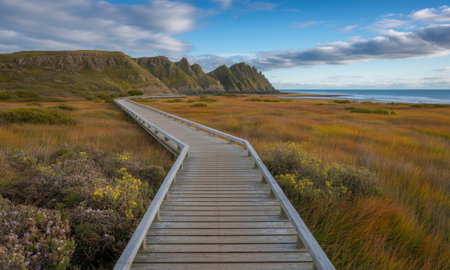 Wooden boardwalk path stretches across a golden coastal marshland, leading towards dramatic sea cliffs and the vast blue ocean under a cloudy sky.の素材
