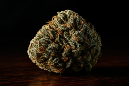 Single cannabis bud with visible trichomes and orange pistils, resting on a dark polished wood surface. focus on detail and texture, with dramatic lighting.の素材