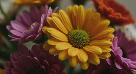Vibrant yellow daisy flower with a green center, surrounded by soft purple and orange blossoms in a colorful bouquet, captured in a detailed close up. represents beauty, nature, spring, and growth.の素材
