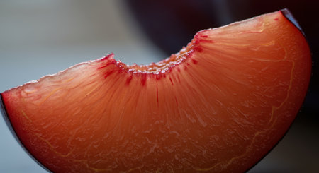 Fresh plum slice with vibrant red flesh and deep purple skin, captured in a detailed macro close up. juicy, ripe fruit for healthy eating and summer concepts.の素材