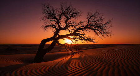 Ancient desert tree silhouetted against a vibrant sunset sky, casting long shadows over rippled sand dunes. represents resilience, solitude, and natural beauty.の素材